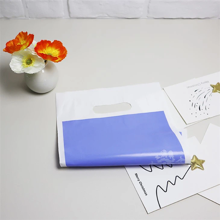 Plastic boutique hand shopping bag