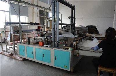 Quanti colori possono essere stampati sui sacchetti di plastica?