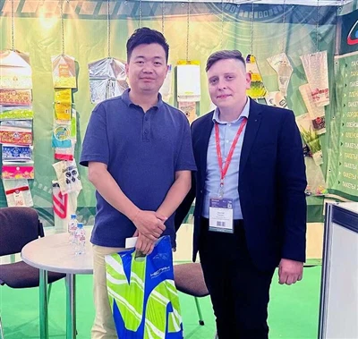 Comprendere la domanda e l'offerta del mercato russo delle borse per imballag...