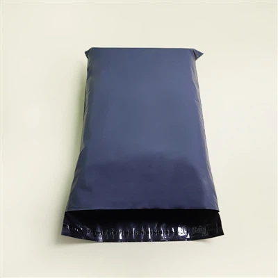 La storia dello sviluppo delle borse Express