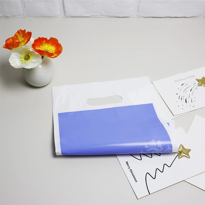 Plastic boutique hand shopping bag Plastic boutique hand shopping bag